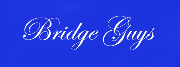 Bridge
                        Guys