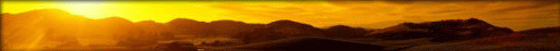 http://www.bearfamilygifts.com/patriotic.html